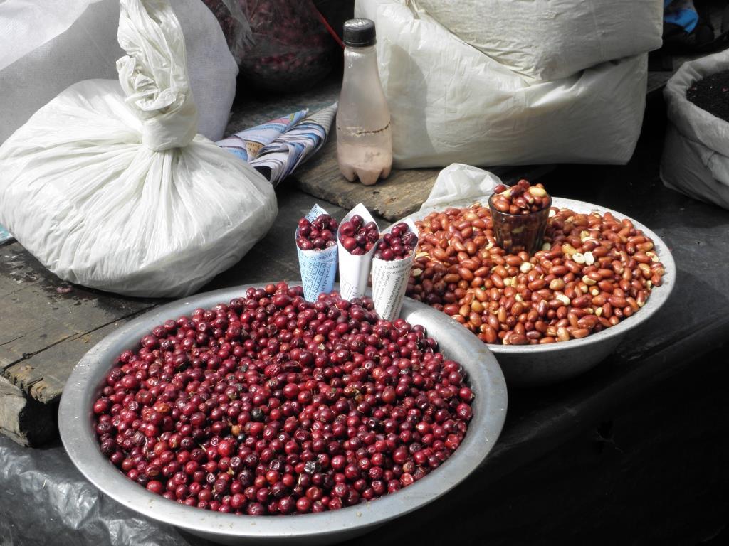 Indien - Darjeeling - 2015